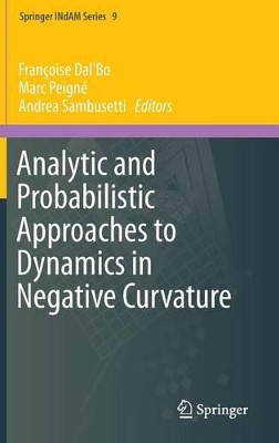 Analytic and Probabilistic Approaches to Dynamics in Negative Curvature by Andrea Sambusetti 9783319048062