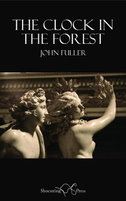 The Clock in the Forest by John Fuller 9781912524068