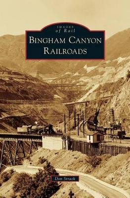 Bingham Canyon Railroads by Don Strack 9781531656638