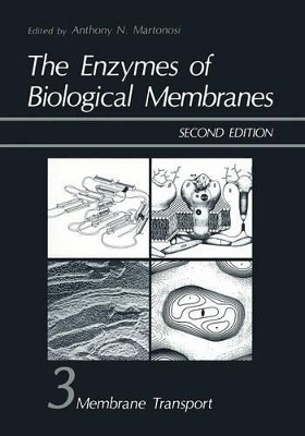 The Enzymes of Biological Membranes: Volume 3: Membrane Transport (SECOND EDITION) by Anthony Martonosi 9781468446036