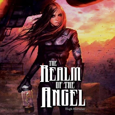 The Realm of The Angel by Hugh Mortimer 9781636492254
