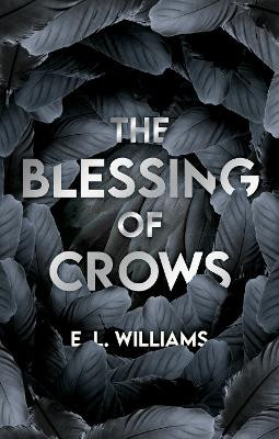 The Blessing of Crows 9781838272678