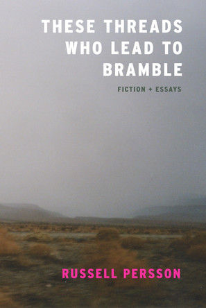 These Threads Who Lead to Bramble by Aimee Parkison 9781938603228