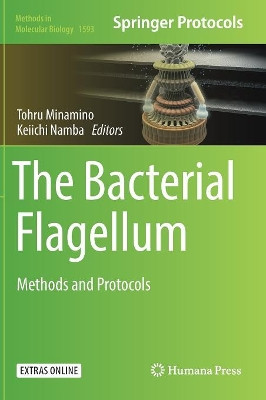 The Bacterial Flagellum: Methods and Protocols by Tohru Minamino 9781493969265