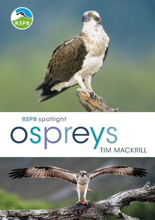 RSPB Spotlight Ospreys by Tim Mackrill