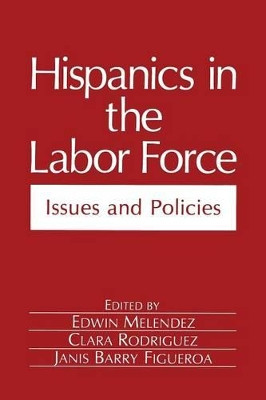 Hispanics in the Labor Force: Issues and Policies by Edwin Melendez 9781489906571