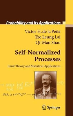 Self-Normalized Processes: Limit Theory and Statistical Applications by Victor H. Pena 9783540856351