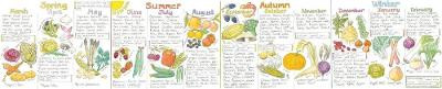 Seasonal Fruit and Vegetables Wallchart by  9780953622276