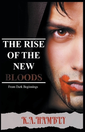 From Dark Beginnings by K A Hambly 9798223920724