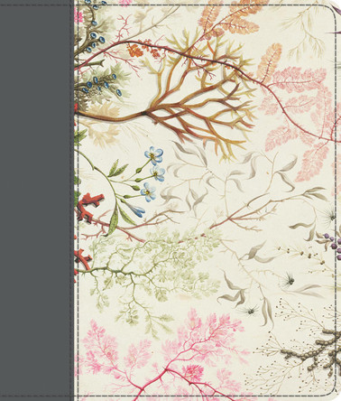 ESV Journaling Bible by  9781433565410