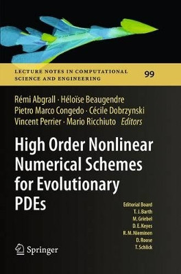 High Order Nonlinear Numerical Schemes for Evolutionary PDEs: Proceedings of the European Workshop HONOM 2013, Bordeaux, France, March 18-22, 2013 by Remi Abgrall 9783319381725