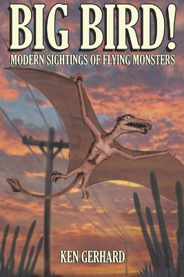 Big Bird!: Modern Sightings of Flying Monsters by Ken Gerhard 9781905723089
