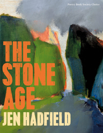 The Stone Age Jen Hadfield 9781529037340
