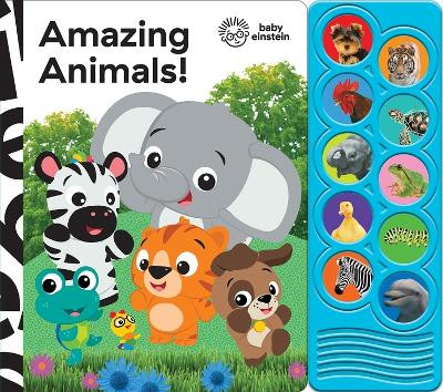 Baby Einstein: Amazing Animals! Sound Book by Pi Kids 9781503752825