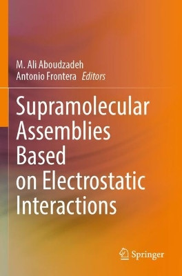 Supramolecular Assemblies Based on Electrostatic Interactions by M. Ali Aboudzadeh 9783031006593