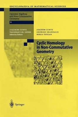 Cyclic Homology in Non-Commutative Geometry by Joachim J. R. Cuntz 9783642073373