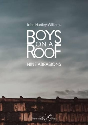 Boys on a Roof: Nine Abrasions by John Hartley Williams 9781910323304