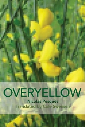 Overyellow: The Poem as Installation Art by Nicholas Pesques 9781602358973