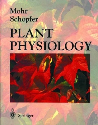 Plant Physiology by Hans Mohr 9783540580164