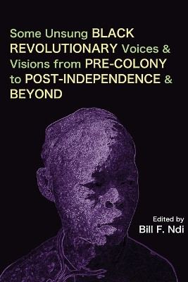 Some Unsung Black Revolutionary Voices and Visions from Pre-Colony to Post-Independence and Beyond by Bill F Ndi 9789956551118