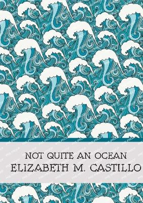 Not Quite an Ocean by Elizabeth M Castillo 9781739151744