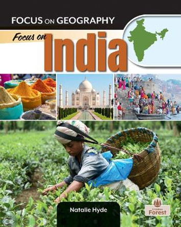 Focus on India by Natalie Hyde 9781039843004
