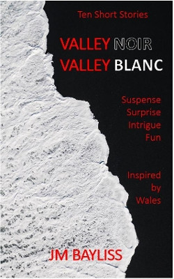 Valley Noir Valley Blanc: Ten Short Stories by Jonathan Mark Bayliss 9781739724511