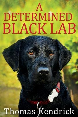 A Determined Black Lab by Thomas Kendrick 9781734905502
