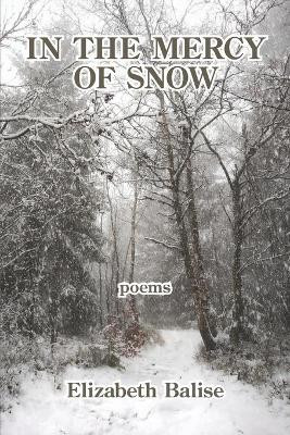 In the Mercy of Snow by Elizabeth Balise 9781639800230