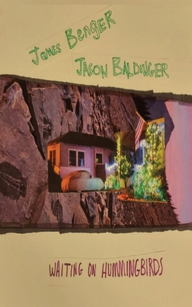 Waiting on Hummingbirds by Jason Baldinger 9781958182826