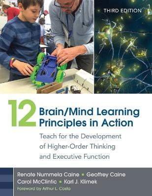 12 Brain/Mind Learning Principles in Action: Teach for the Development of Higher-Order Thinking and Executive Function by Renate Nummela Caine 9781483382722
