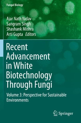 Recent Advancement in White Biotechnology Through Fungi: Volume 3: Perspective for Sustainable Environments by Ajar Nath Yadav 9783030255084