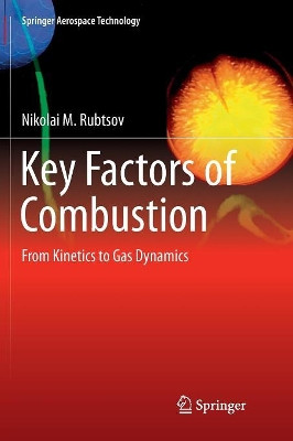Key Factors of Combustion: From Kinetics to Gas Dynamics by Nikolai M. Rubtsov 9783319834153