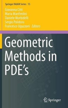 Geometric Methods in PDE's by Giovanna Citti 9783319026657