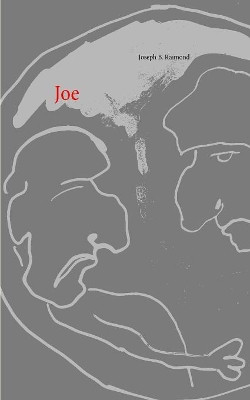 Joe by Joseph B Raimond 9783748158608