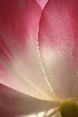 Phyla of Joy by Karen An-Hwei Lee 9781932195149