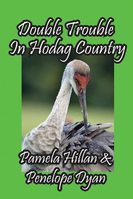Double Trouble In Hodag Country by Pamela Hillan 9781614775607