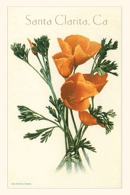 The Vintage Journal California Poppy, Santa Clarita by Found Image Press 9781648117084
