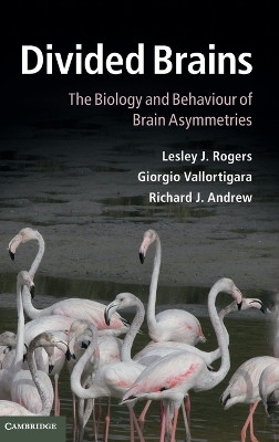 Divided Brains: The Biology and Behaviour of Brain Asymmetries by Lesley J. Rogers 9781107005358