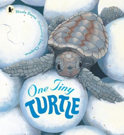 One Tiny Turtle by Nicola Davies 9781406364637