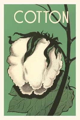 Vintage Journal Cotton Boll by Found Image Press 9781669504412