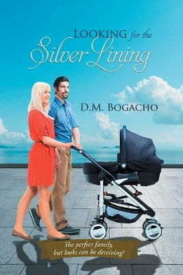 Looking for the Silver Lining by D M Bogacho 9781960197276