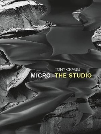 Tony Cragg. Micro - The Studio by Christine Kelle