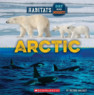 Arctic (Wild World: Habitats Day and Night) by Brenna Maloney 9781339020709
