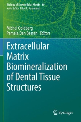 Extracellular Matrix Biomineralization of Dental Tissue Structures by Michel Goldberg 9783030762858