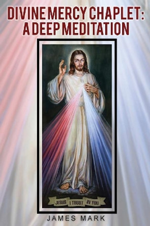 The Divine Mercy Chaplet: A Deep Meditation by James Mark 9781645520276