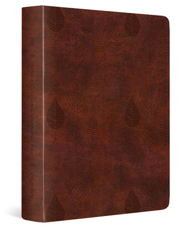 ESV Single Column Journaling Bible 9798874900335