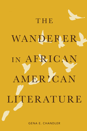 The Wanderer in African American Literature by Gena E. Chandler-Smith 9781621905295