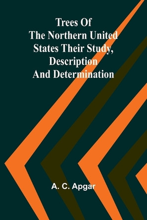 My Lady Greensleeves (Edition1) by A C Apgar 9789362091789