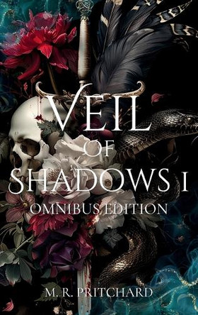 Veil of Shadows I by M R Pritchard 9781957709574